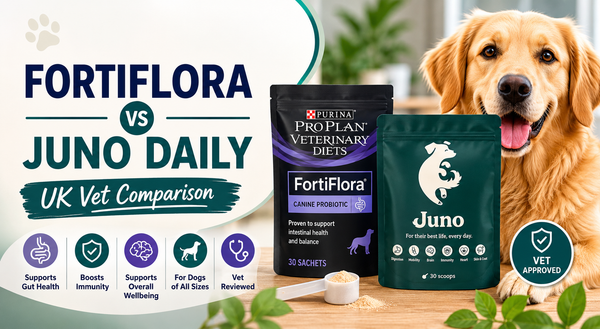 fortiflora vs juno daily dog gut health supplement