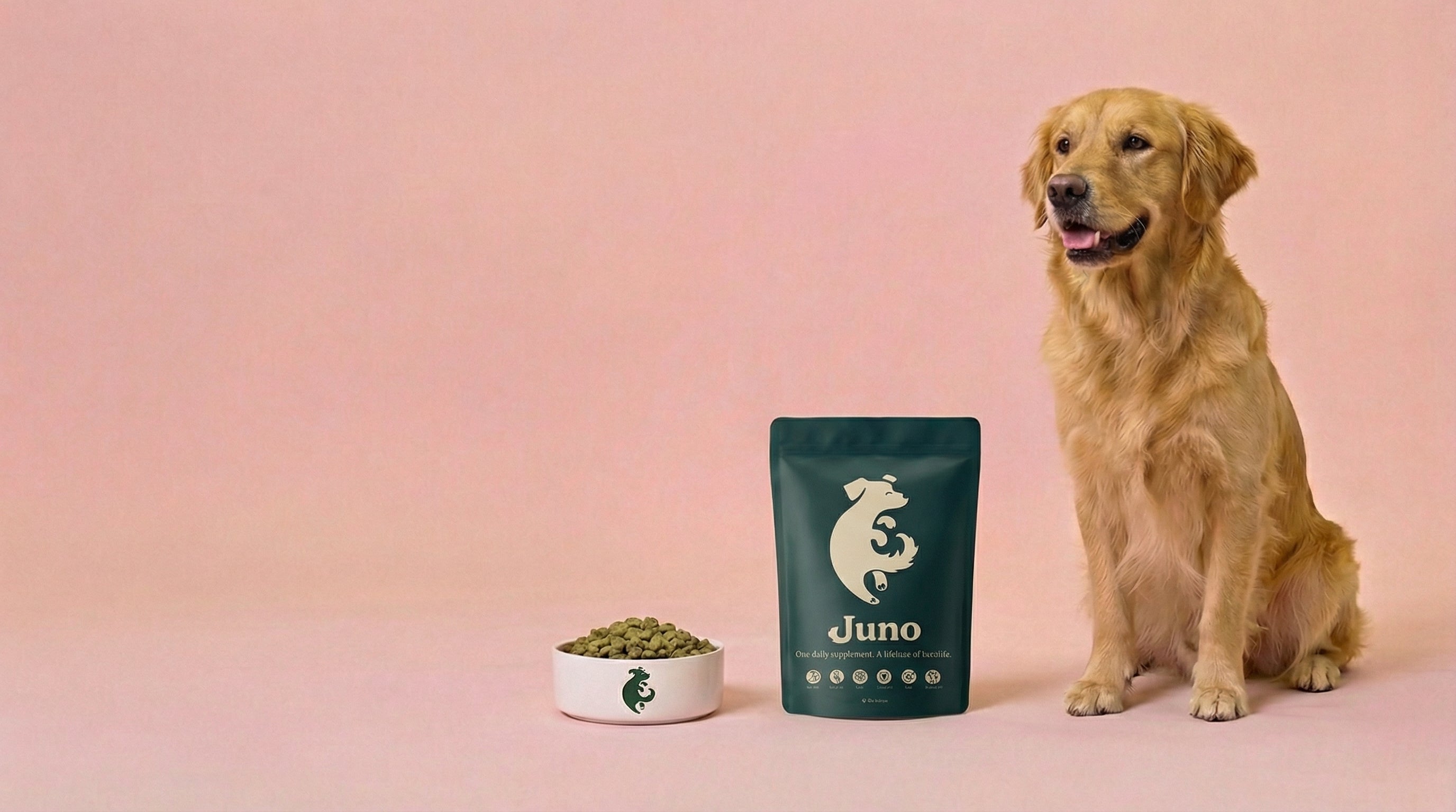 Are All-in-One Supplements Good for Dogs? A UK Vet's Review Juno Daily Juno Pets Juno Dog