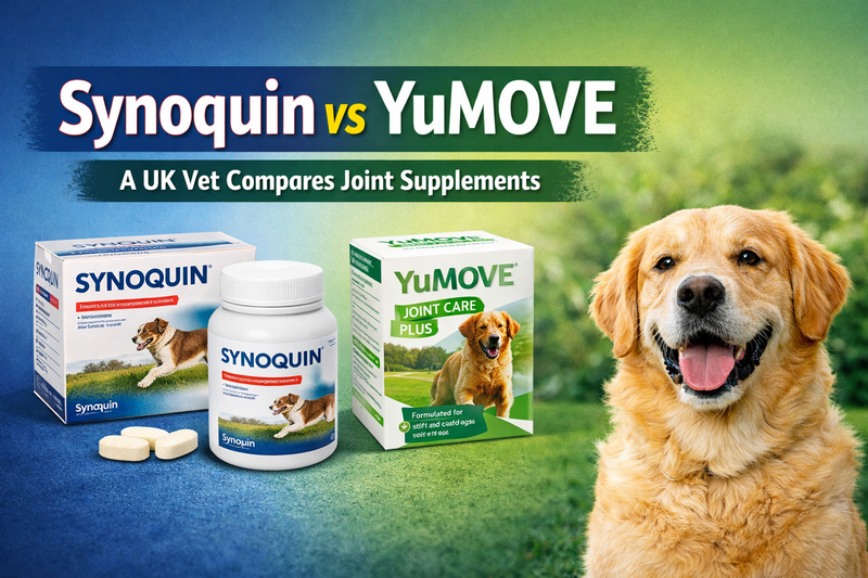 Synoquin vs YuMOVE for Dogs: A UK Vet Compares Joint Supplements