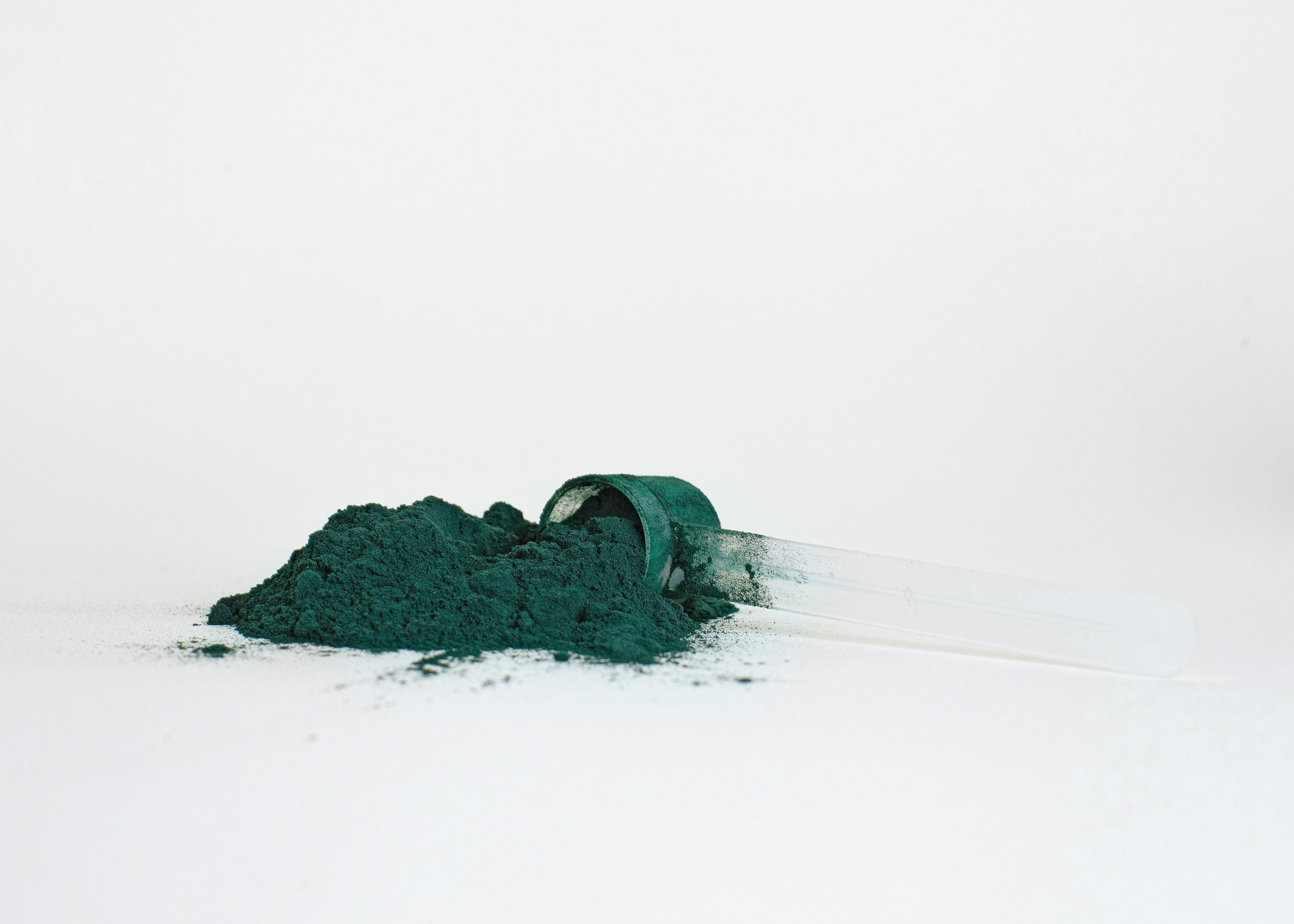 Vet's Guide to Spirulina for Dogs: Allergies and Immune Support