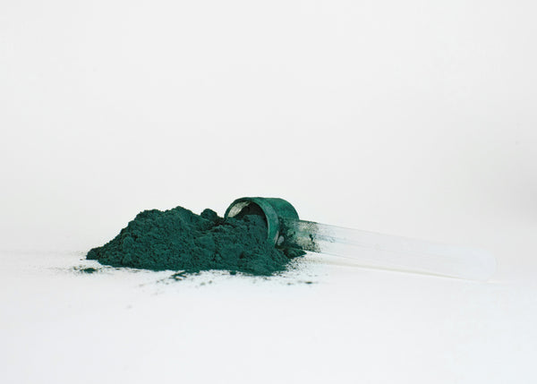 Vet's Guide to Spirulina for Dogs: Allergies and Immune Support