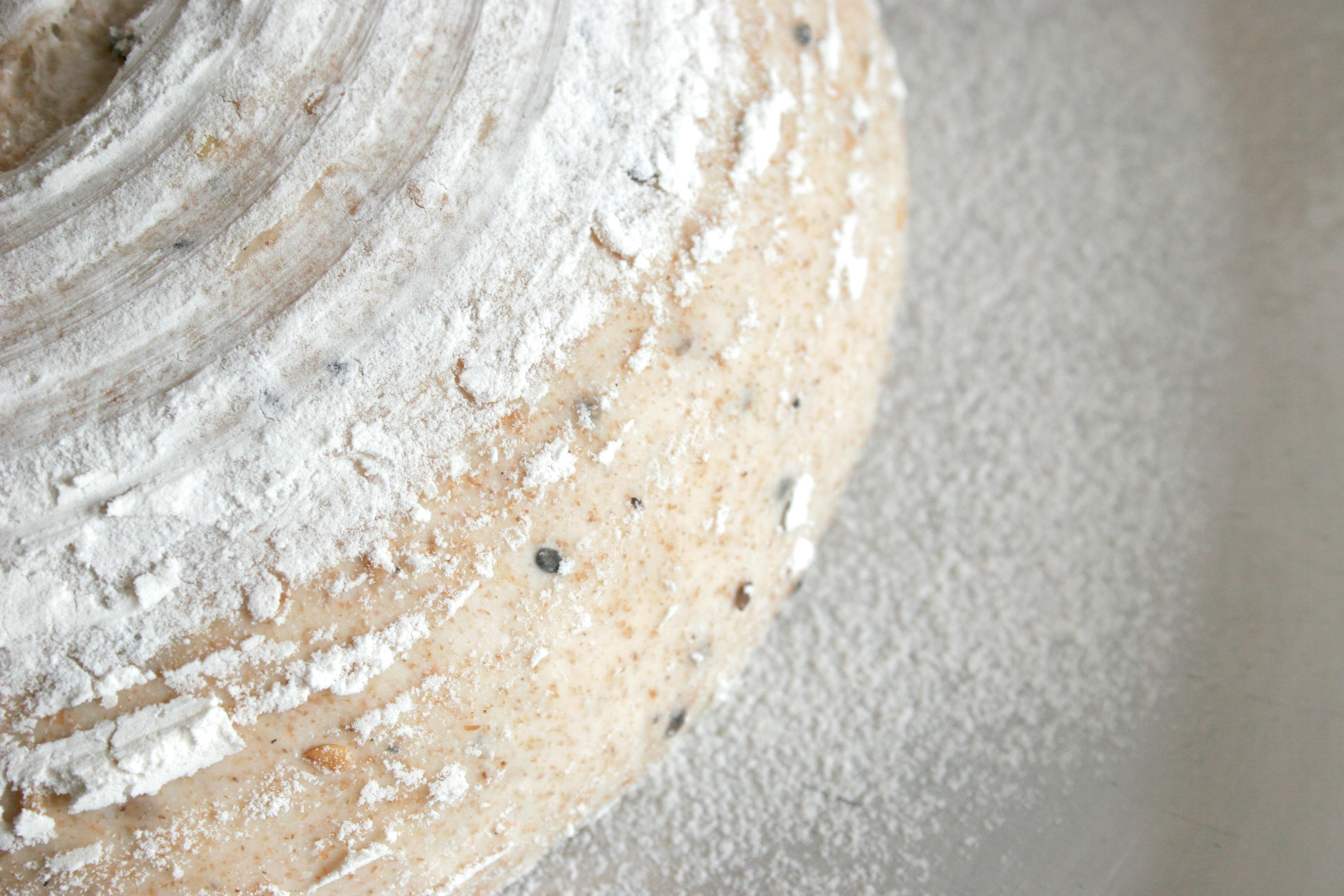 MOS and FOS for Dogs: A UK Vet Guide to Prebiotics Juno Pets Juno Dog Juno Multivitamins