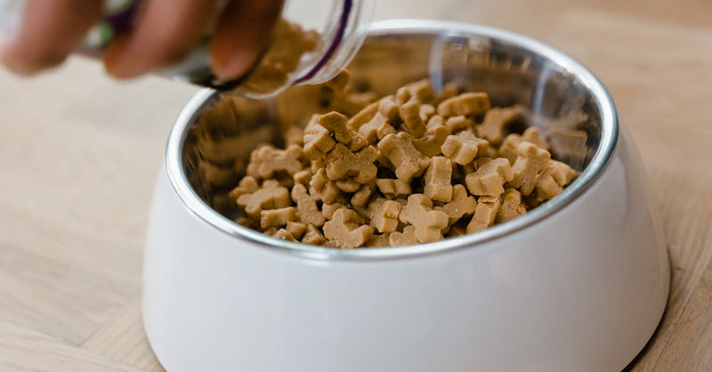 Close-up of hand pouring dog biscuits into a bowl, perfect for pet care themes.