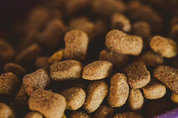 glucosamine for dogs juno daily juno pets joint supplement