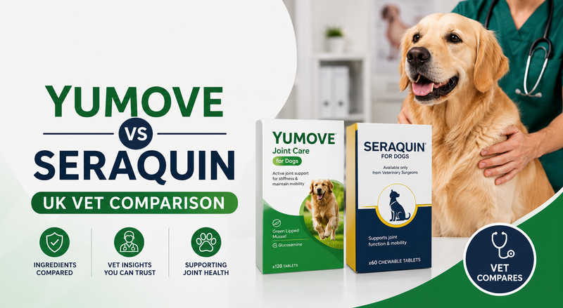 seraquin vs yumove joint dog supplement uk vet compares