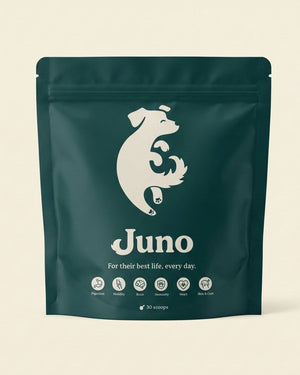 Juno Daily all-in-one dog supplement pouch — vet-formulated daily probiotic, glucosamine and omega-3 powder for dogs, made in the UK
