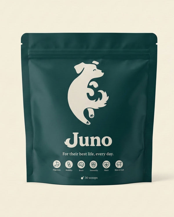 Juno Daily