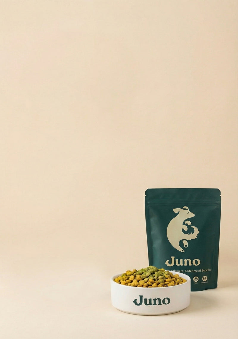 For their best life, every day