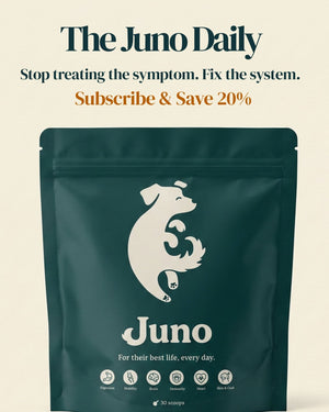Juno Daily