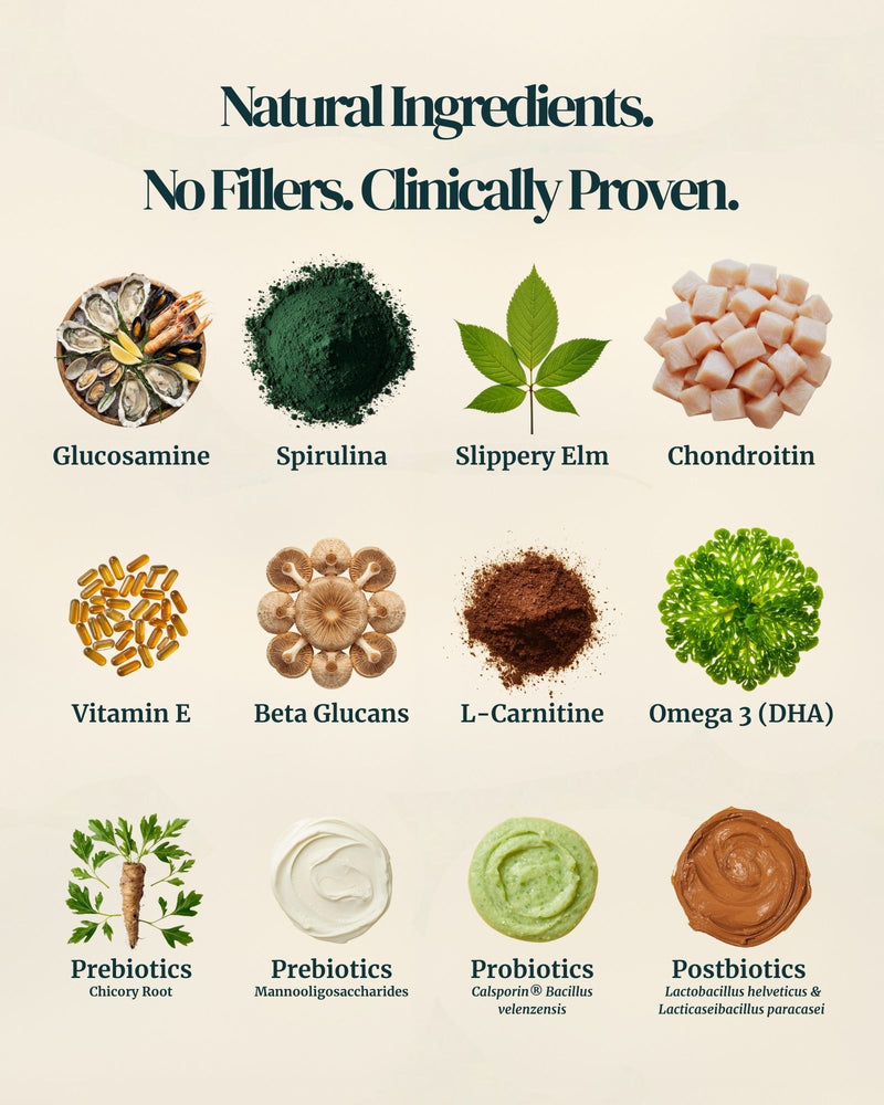 Juno Daily dog supplement packaging back or side view