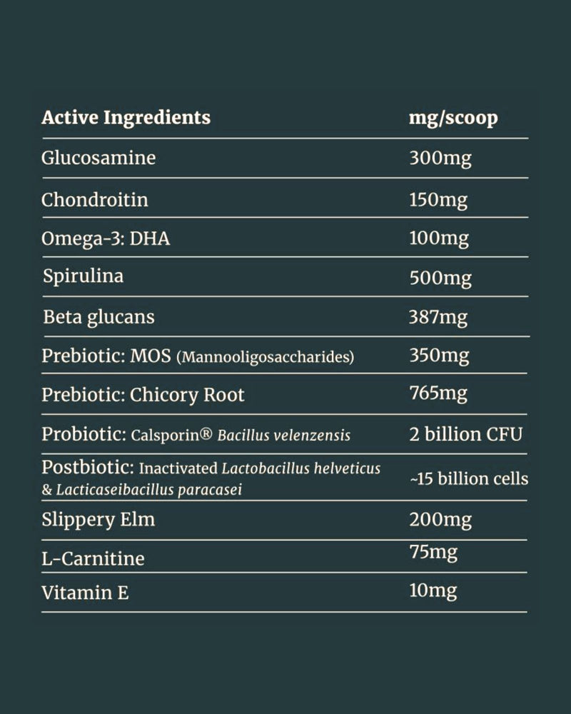 Juno Daily active ingredients infographic with glucosamine chondroitin probiotics and omega 3