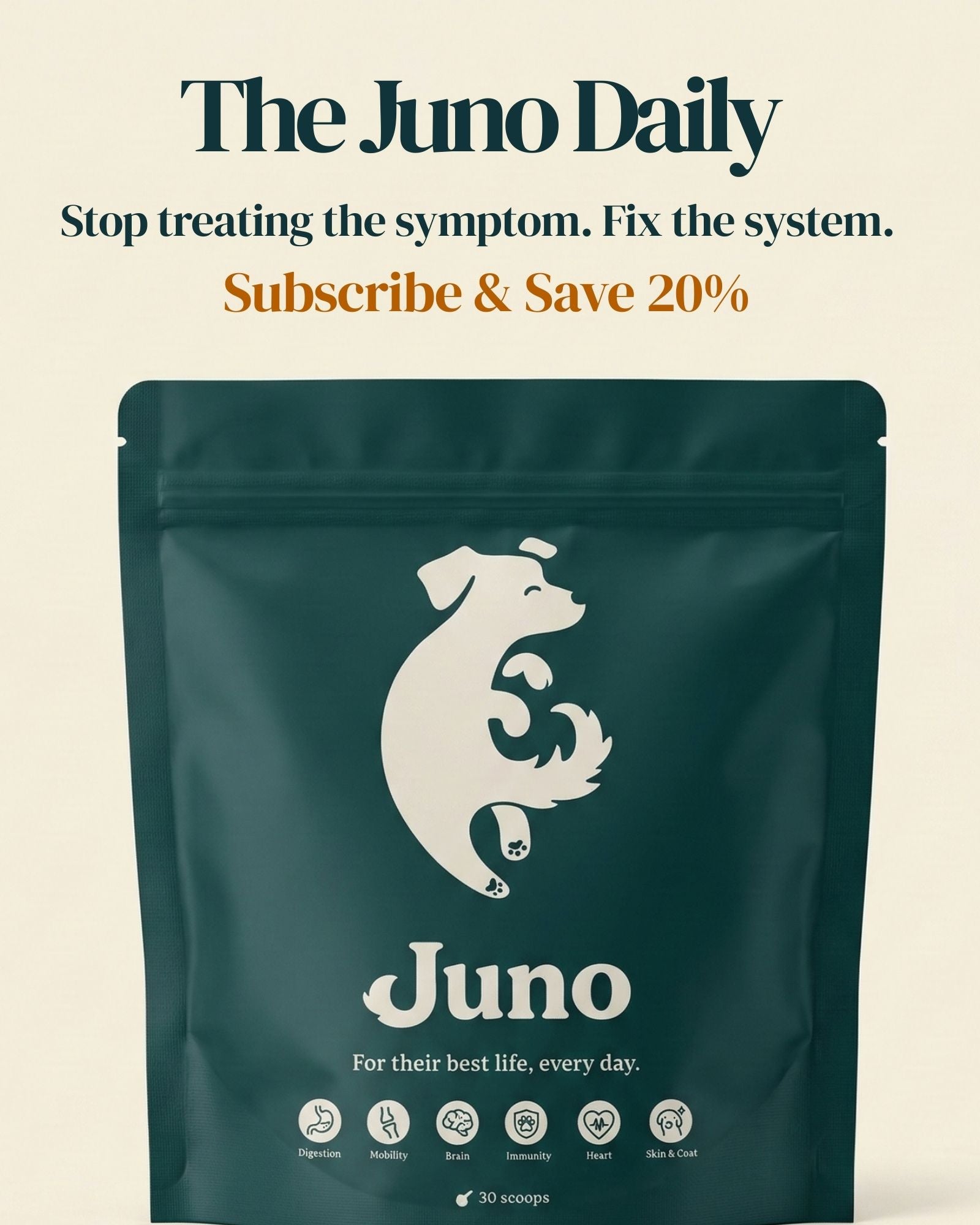 Juno Daily all-in-one dog supplement front pack for digestion joints skin heart and brain support