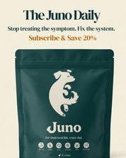 Juno Daily all-in-one dog supplement front pack for digestion joints skin heart and brain support