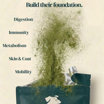 Green powder of juno daily  being poured from a bag with health benefits listed on a beige background
