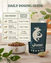 Juno dog supplement packaging with daily dosing guide on a wooden surface.