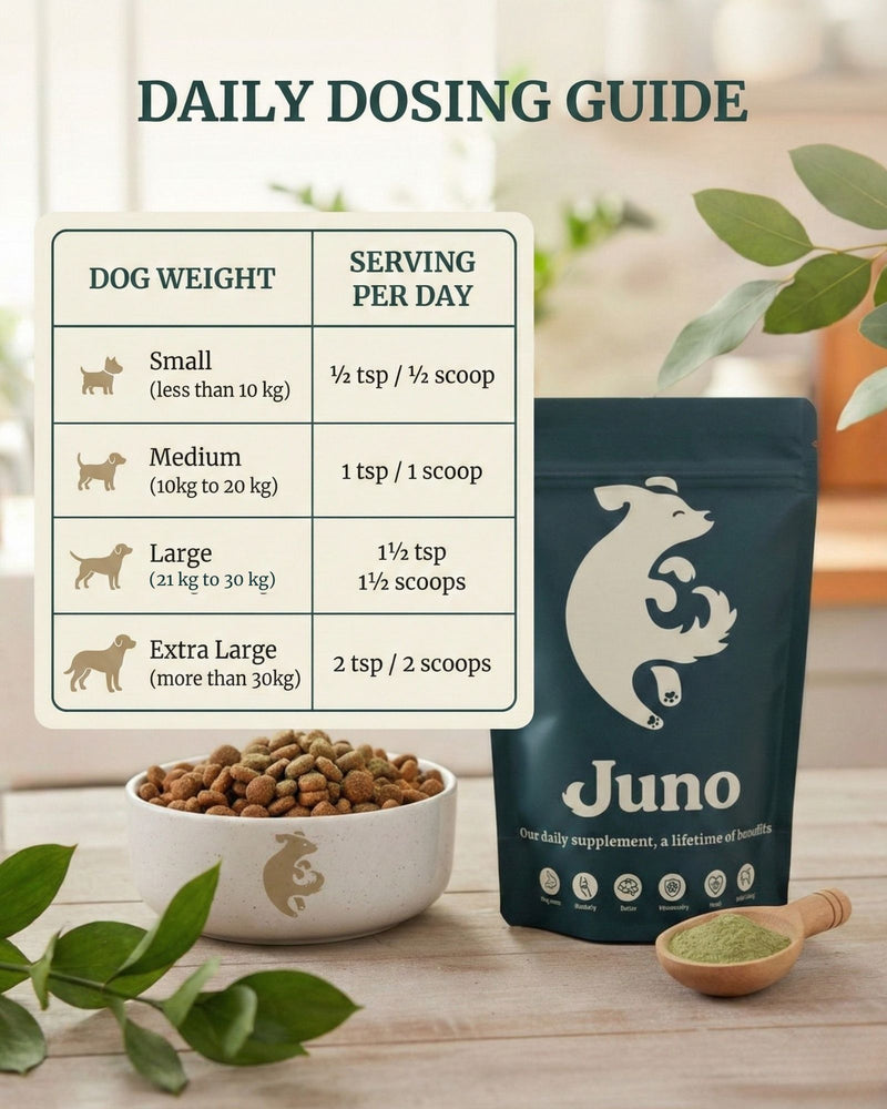 Juno dog supplement packaging with daily dosing guide on a wooden surface.