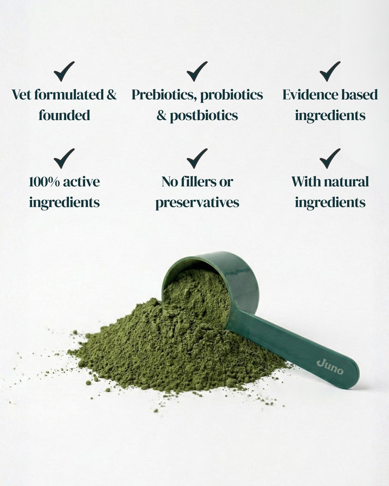 Juno Daily dog supplement scoop and serving size powder
