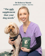 Dr. Rebecca Massie with a dog and a Juno Pets supplement package, with text 'The only supplement that your dog needs'.