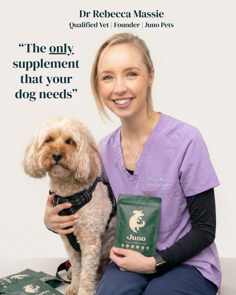 Dr. Rebecca Massie with a dog and a Juno Pets supplement package, with text 'The only supplement that your dog needs'.