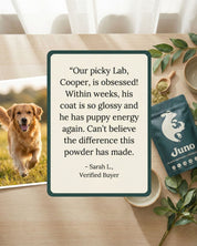 Review of our product Juno Daily by a customer