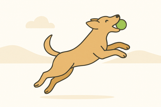 Supporting Long-Term Wellbeing