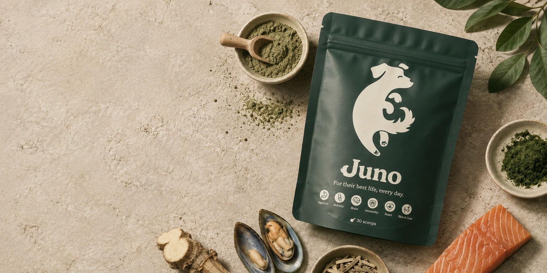 Juno Daily dog supplement powder pouch surrounded by natural ingredients including salmon, green lipped mussel, ginger and seaweed